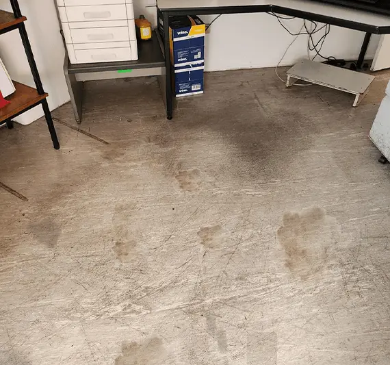 Floor Cleaning Before