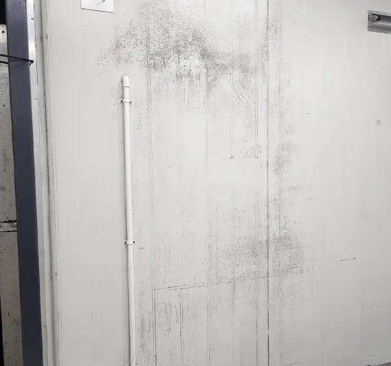 Wall Cleaning Before